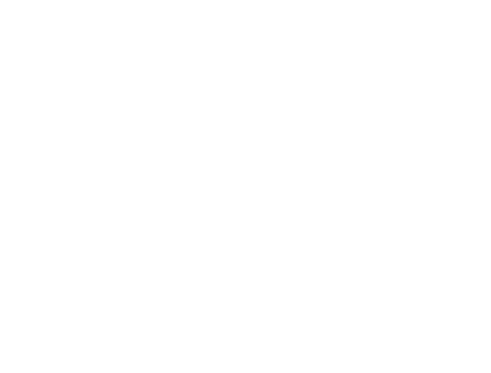 avis parquet service paris