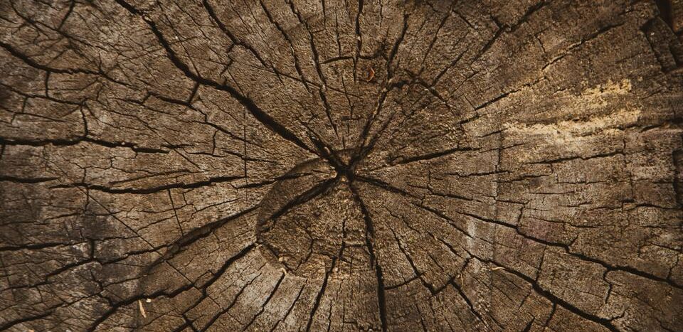 Comment raviver un parquet huilé terni