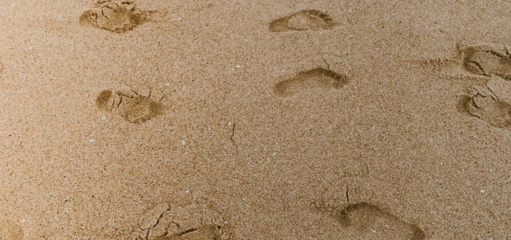 Devis ponçage parquet : que doit-il contenir