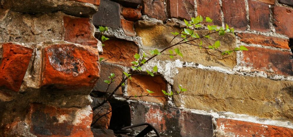 Entreprise rénovation parquet : critères de confiance