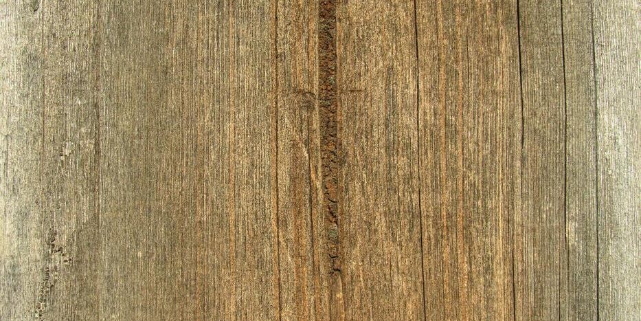 Entretien parquet ancien : gestes essentiels