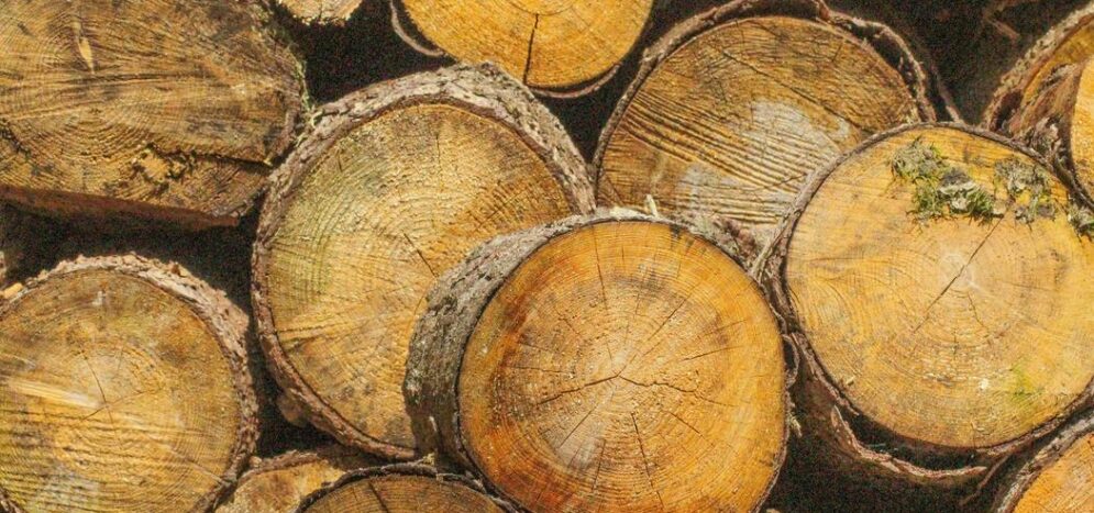 Huilage parquet sans odeur : possible