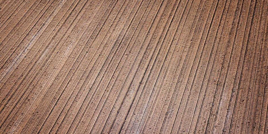 Parquet stratifié : alternatives au bois massif