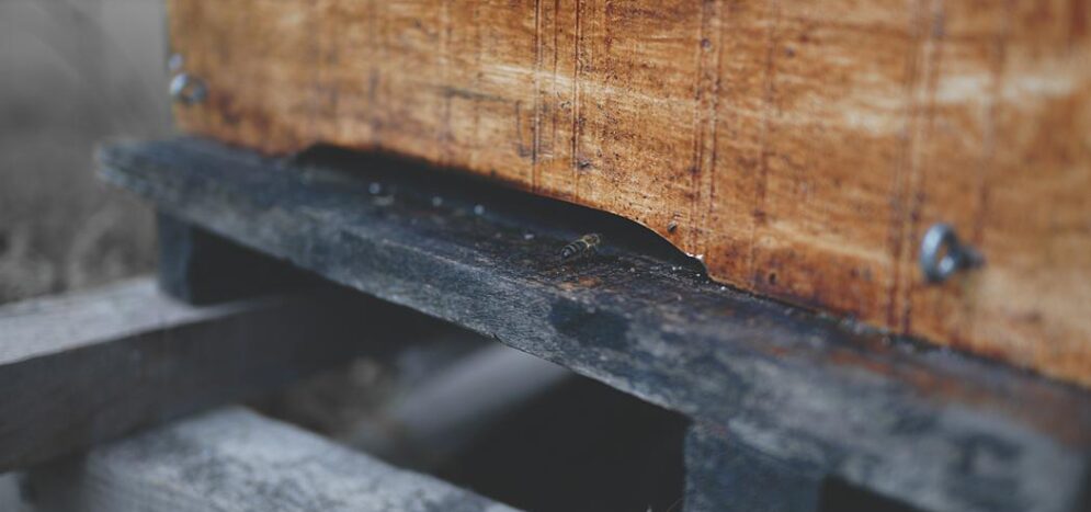 Peut-on huiler un parquet ancien