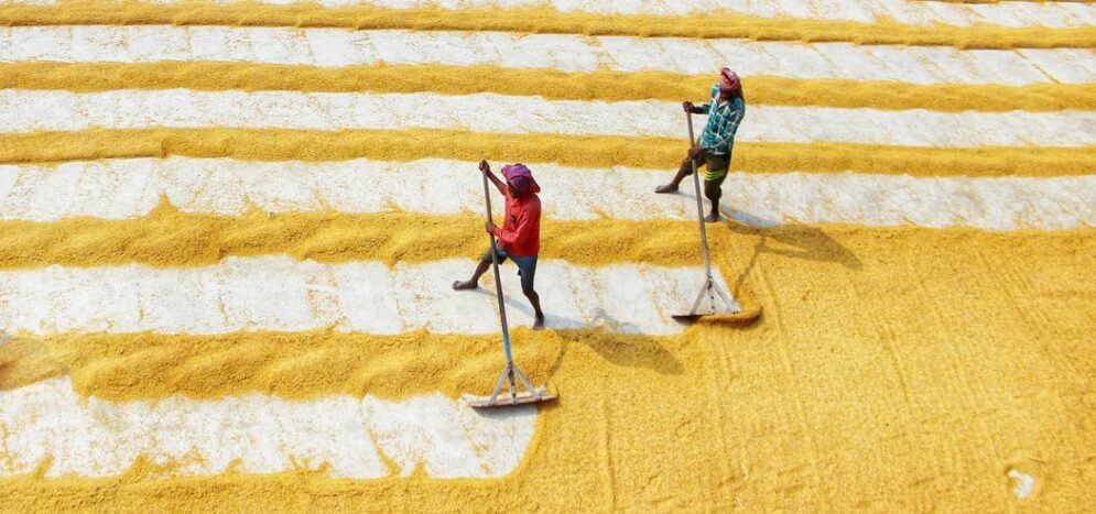 Ponçage parquet pas cher : attention aux arnaques