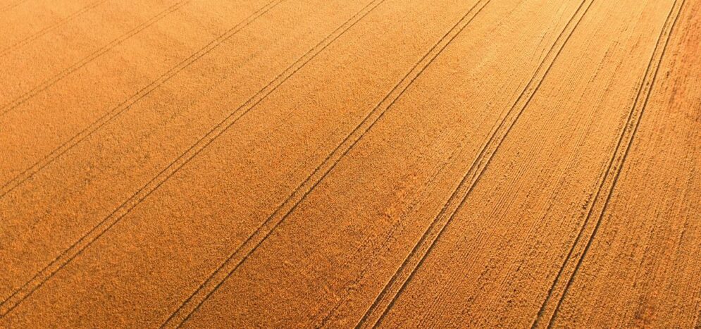 Ponçage parquet pin : précautions à prendre