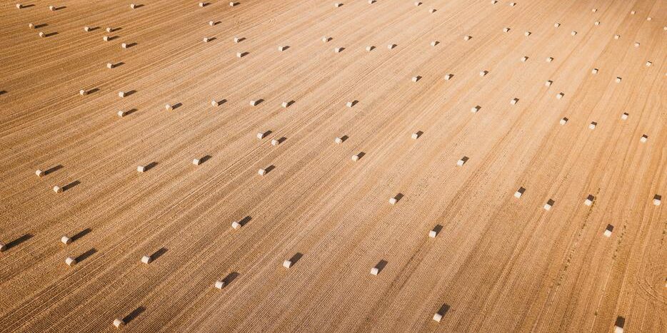 ponçage parquet Bagneux ponçage parquet Bagneux