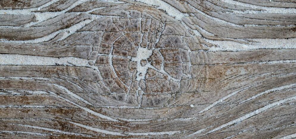 ponçage parquet Opéra