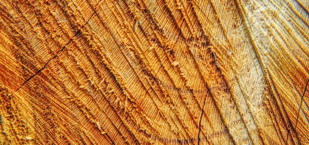 ponçage parquet Paris 18e