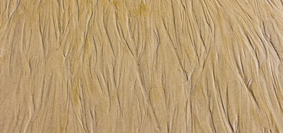 ponçage parquet Quartier Latin