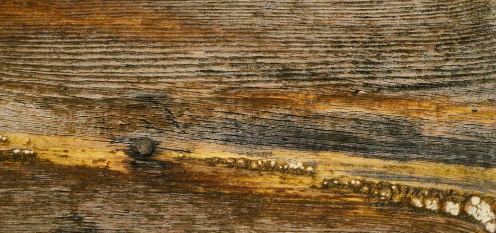 Entretien parquet et stratifié guide produits et fréquence