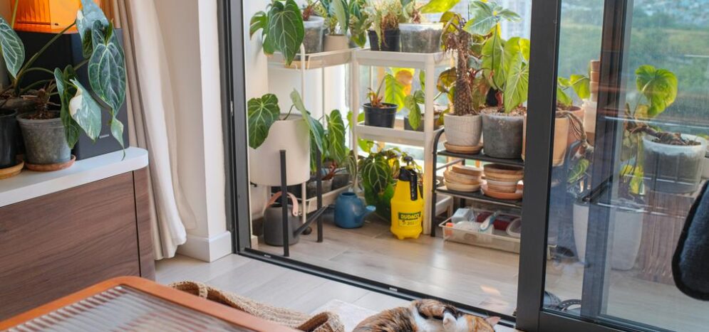 Installation parquet sur chauffage au sol contraintes et solutions